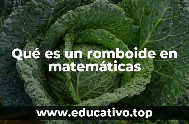 Qué es un romboide en matemáticas