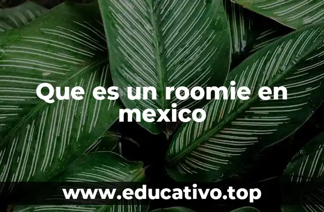 Que es un roomie en mexico