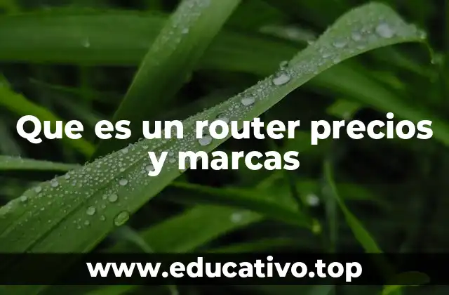 Que es un router precios y marcas