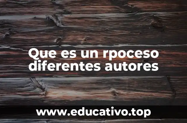 Que es un rpoceso diferentes autores