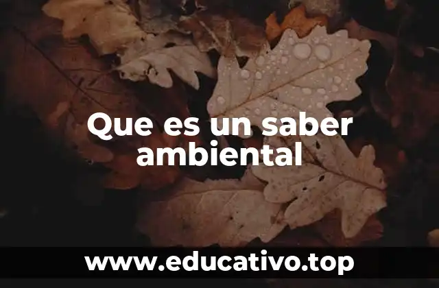 La importancia del conocimiento ecológico en la sociedad moderna