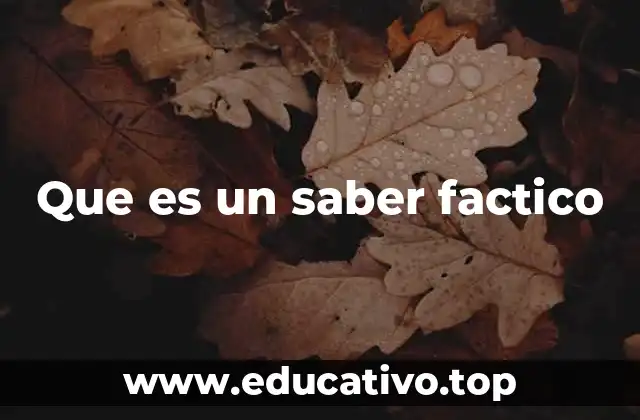 Que es un saber factico