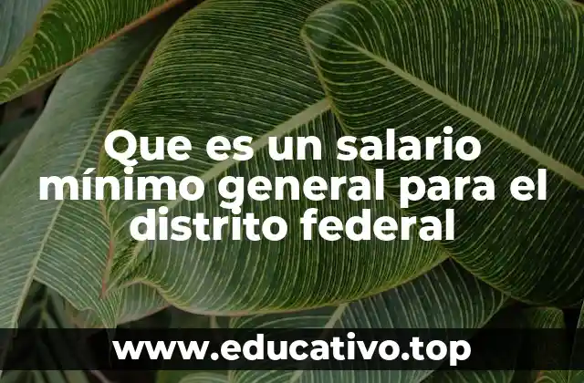 Que es un salario mínimo general para el distrito federal