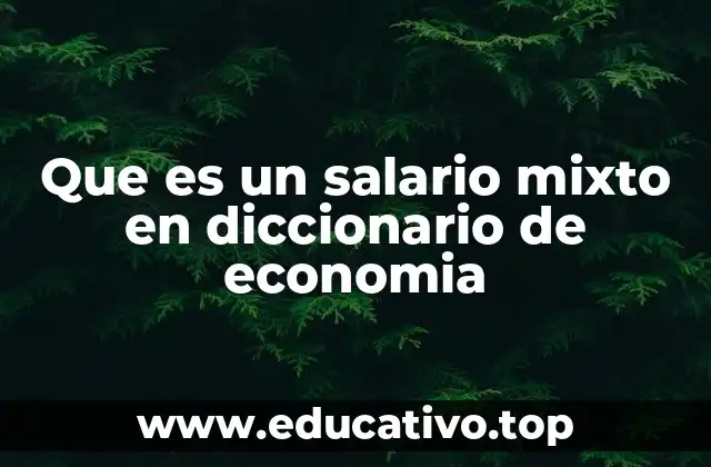 Que es un salario mixto en diccionario de economia