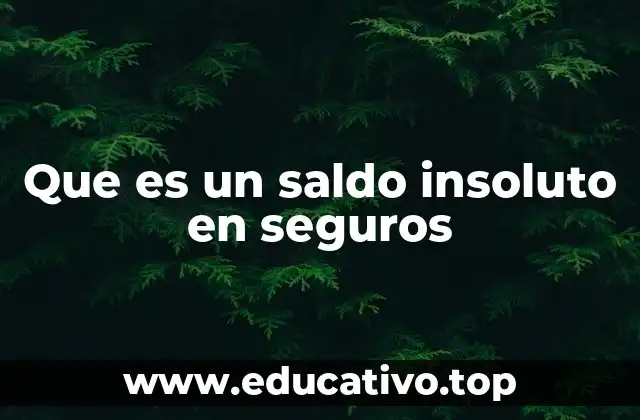 Que es un saldo insoluto en seguros