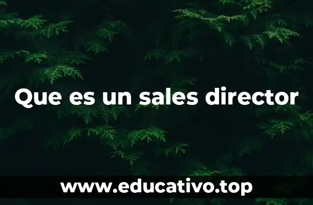 Que es un sales director