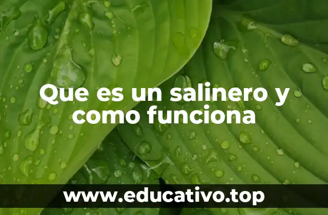 Que es un salinero y como funciona