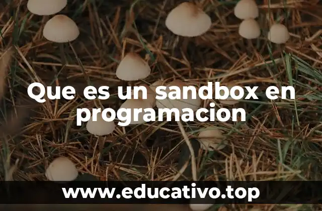 Que es un sandbox en programacion
