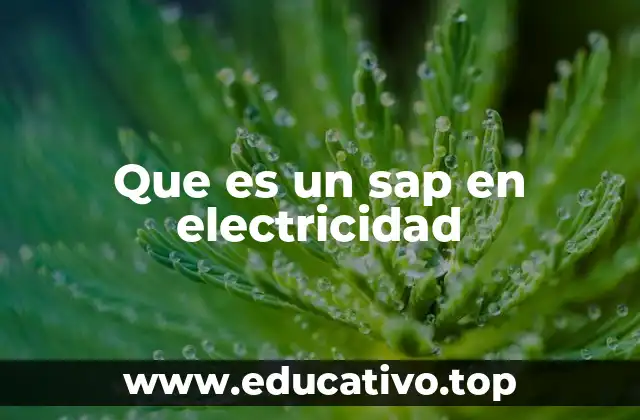 Que es un sap en electricidad
