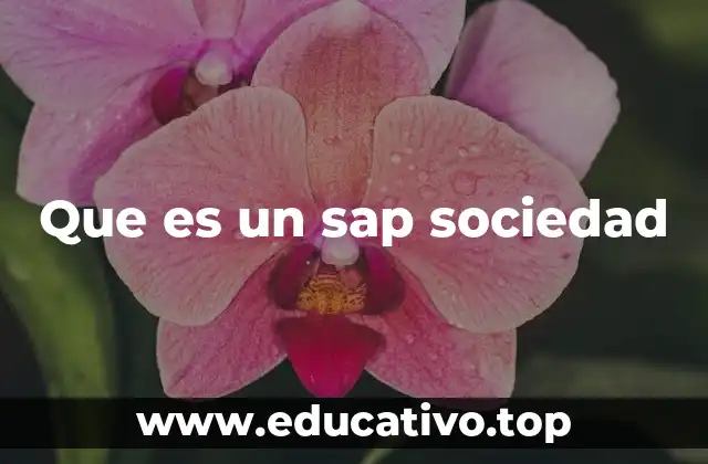 Que es un sap sociedad