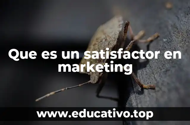Que es un satisfactor en marketing