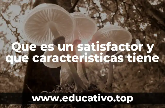 Que es un satisfactor y que caracteristicas tiene