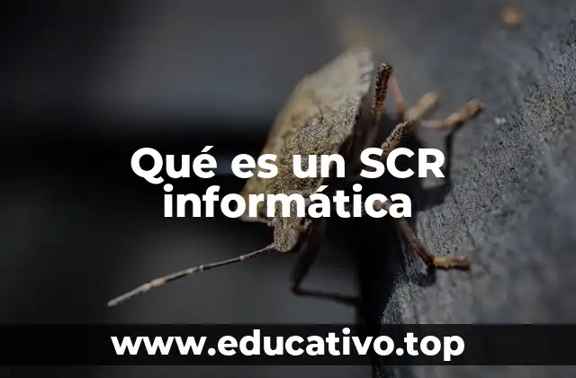 El papel del SCR en la gestión de proyectos de software