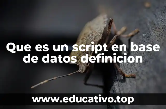 Que es un script en base de datos definicion