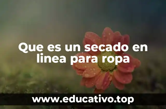 Que es un secado en linea para ropa