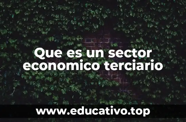 Que es un sector economico terciario