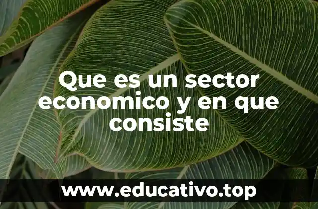 Que es un sector economico y en que consiste
