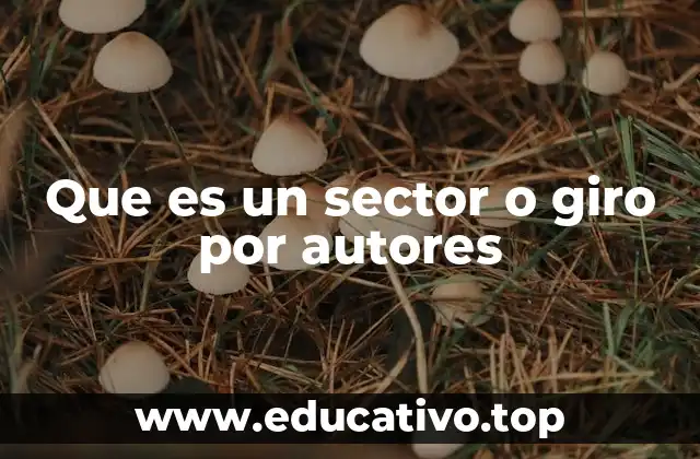 Que es un sector o giro por autores