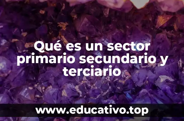 Qué es un sector primario secundario y terciario