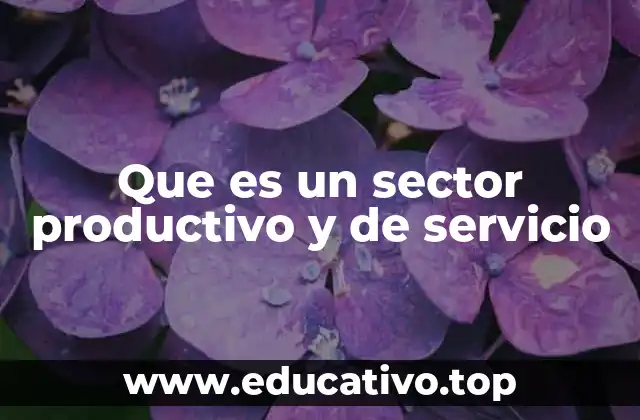 Que es un sector productivo y de servicio