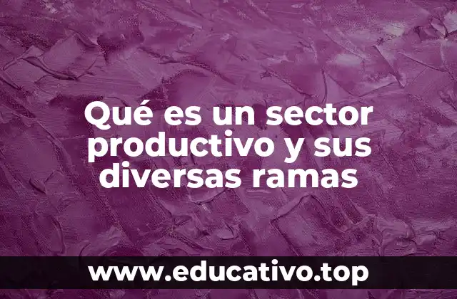 Qué es un sector productivo y sus diversas ramas