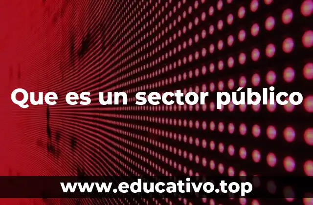 Que es un sector público