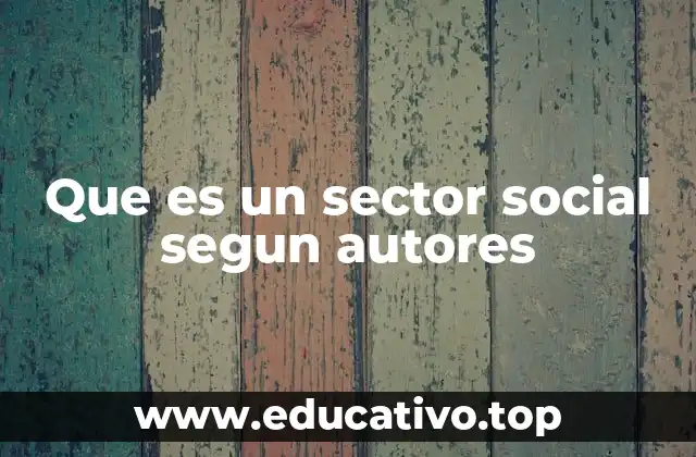 Que es un sector social segun autores