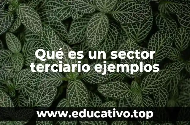 Qué es un sector terciario ejemplos