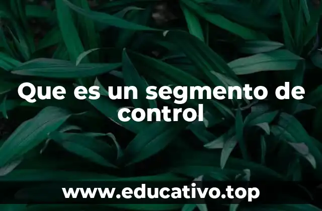 Que es un segmento de control