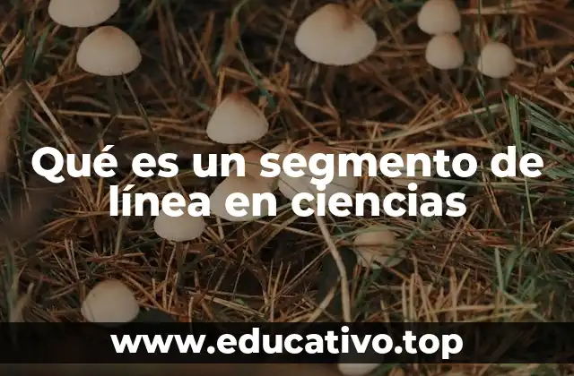 Qué es un segmento de línea en ciencias