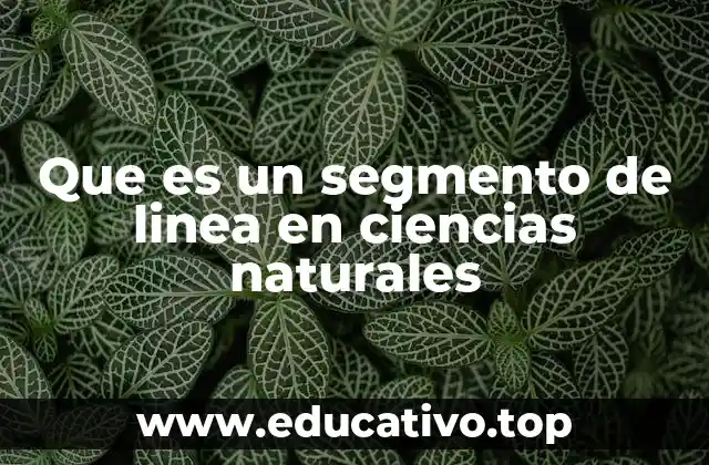 Que es un segmento de linea en ciencias naturales