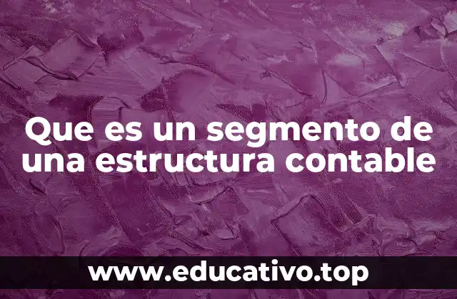 Que es un segmento de una estructura contable