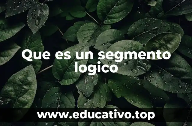 Que es un segmento logico