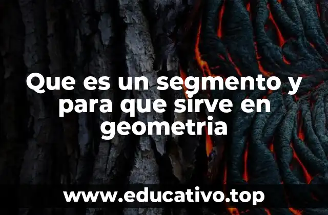La importancia del segmento en la construcción de figuras geométricas