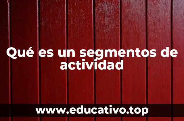 Qué es un segmentos de actividad