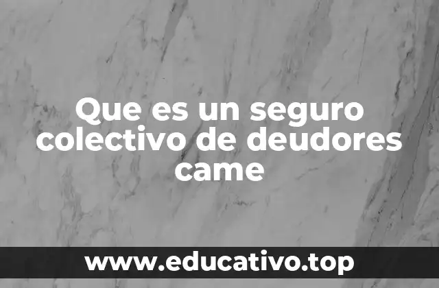 Que es un seguro colectivo de deudores came