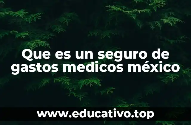 Que es un seguro de gastos medicos méxico