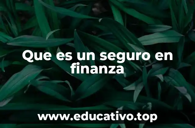 Que es un seguro en finanza