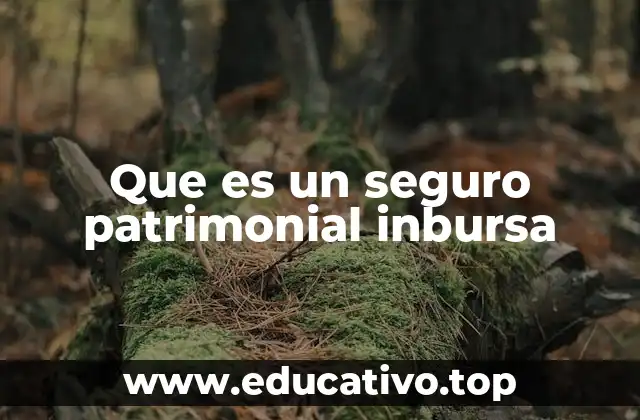 Que es un seguro patrimonial inbursa
