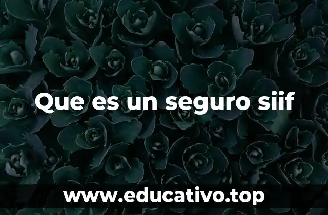 Que es un seguro siif