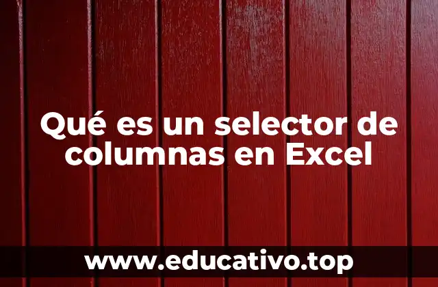 Qué es un selector de columnas en Excel
