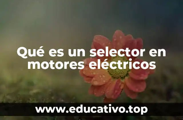 Qué es un selector en motores eléctricos