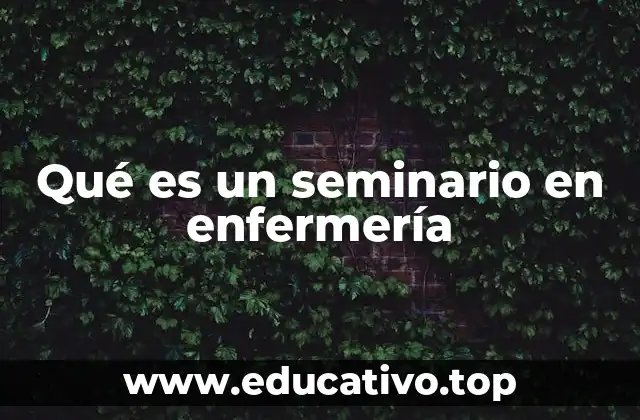 Qué es un seminario en enfermería
