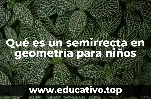 Qué es un semirrecta en geometría para niños