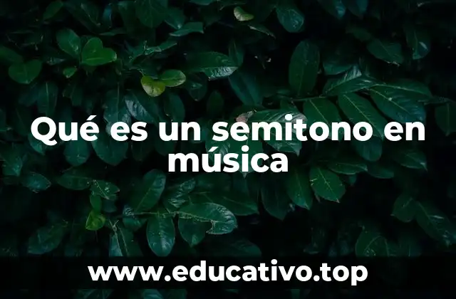 La importancia del semitono en la teoría musical