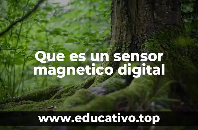 Que es un sensor magnetico digital