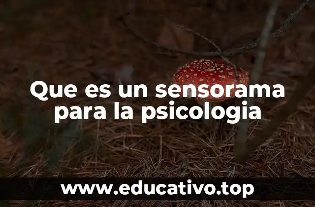 Que es un sensorama para la psicologia