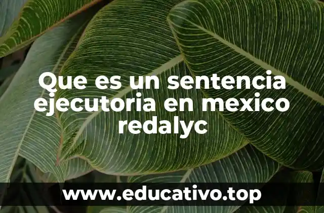 Que es un sentencia ejecutoria en mexico redalyc