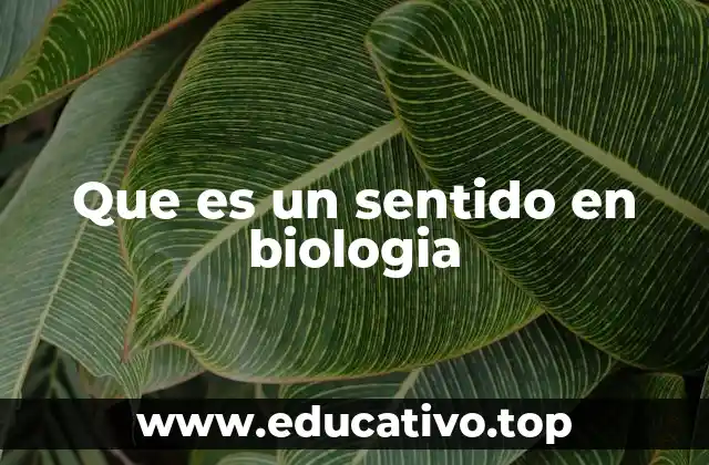 El papel de los sentidos en la evolución biológica