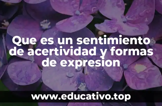 Que es un sentimiento de acertividad y formas de expresion